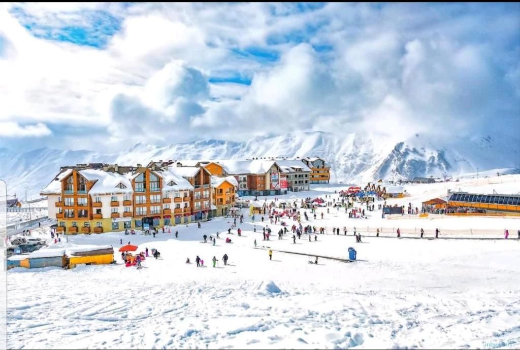 Апарт-отели Gudauri New Loft 1 TOPHIT Гудаури