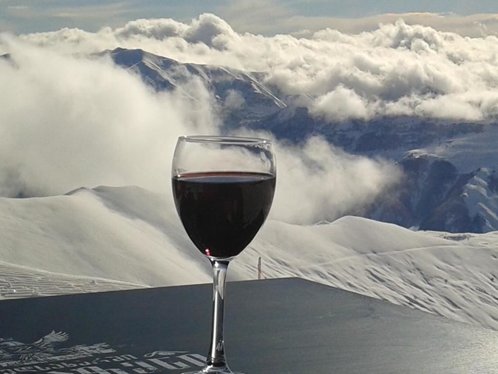 Апарт-отели Gudauri New Loft 1 TOPHIT Гудаури