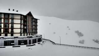 Апарт-отели Gudauri New Loft 1 TOPHIT Гудаури Номер-студио с видом на горы-22