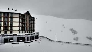 Апарт-отели Gudauri New Loft 1 TOPHIT Гудаури Номер-студио с видом на горы-81